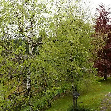 Relax Sull'altopiano Di Asiago גאליו